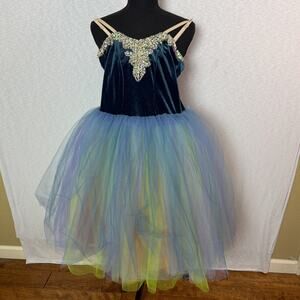 Costume Gallery 20504 Beneath My Feet Velvet Tutu Dance Costume Sz SA